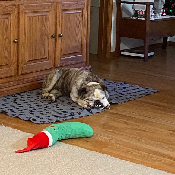 Meet your Posher, Dana - Picture 1 of 1